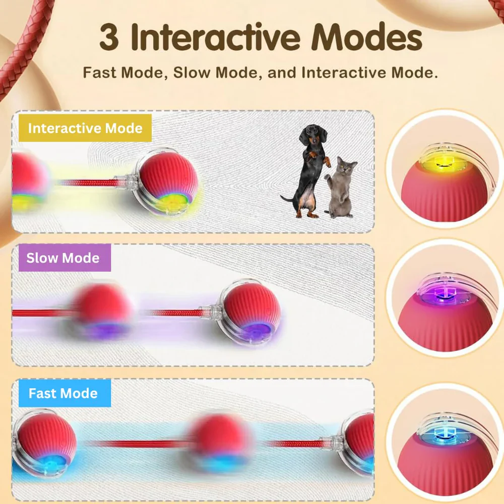 MIMO SPEEDY PET TOY 2.0 - Image 7
