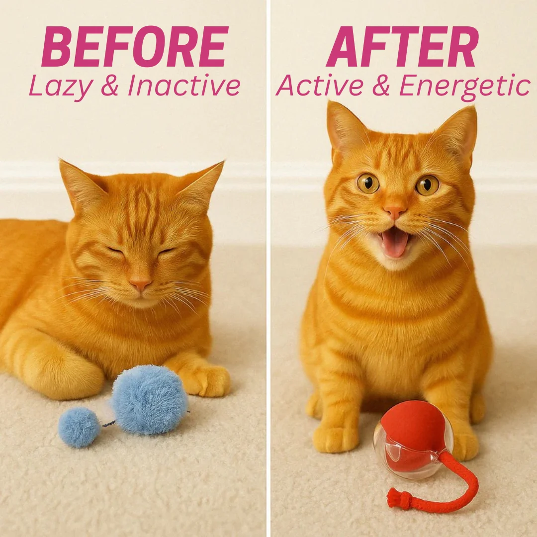 MIMO SPEEDY PET TOY 2.0 - Image 8